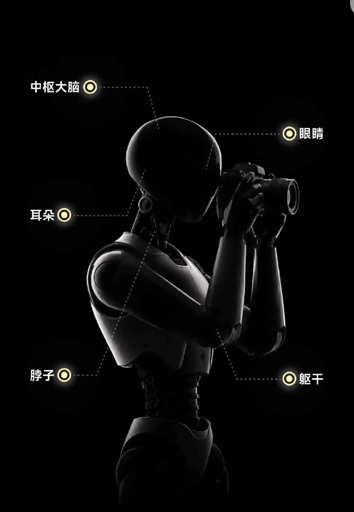 影石11周年,官宣入局机器人
